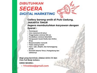 Digital Marketing