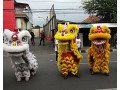 sewa-barongsai-sam-po-kong-small-1